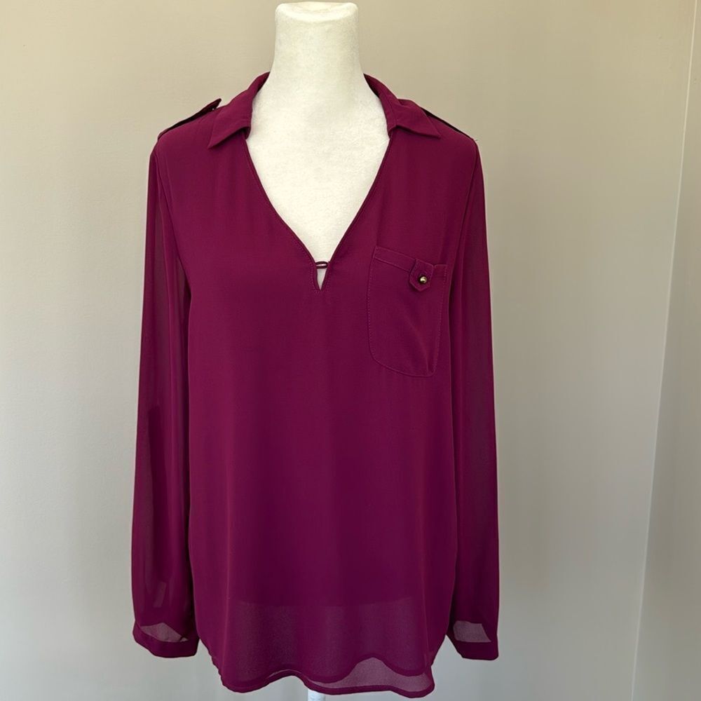 Naked Zebra Long Sleeve Sheer Blouse Size Medium